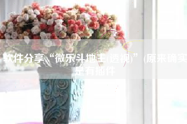 软件分享“微乐斗地主(透视)”(原来确实是有插件