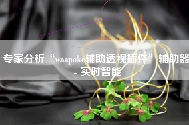 专家分析“waapoke辅助透视插件	”辅助器 - 实时智能