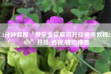 3分钟教程“微乐北京麻将开挂视频教程2020	”开挂(透视)辅助神器