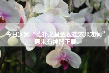 今日实测“德扑之星透视挂效果如何	”原来有神器下载