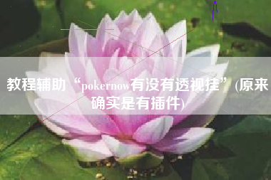 教程辅助“pokernow有没有透视挂	”(原来确实是有插件)