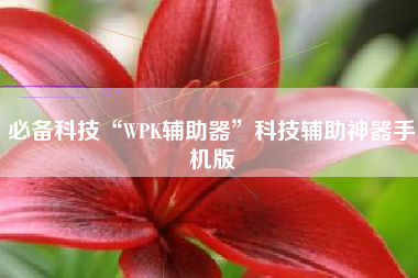 必备科技“WPK辅助器”科技辅助神器手机版 必备科技“WPK辅助器”科技辅助神器手机版