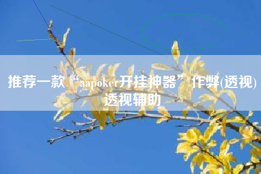 推荐一款“aapoker开挂神器”作弊(透视)透视辅助