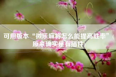 可用版本“微乐麻将怎么能提高胜率”(原来确实是有插件)