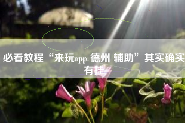 必看教程“来玩app 德州 辅助	”其实确实有挂