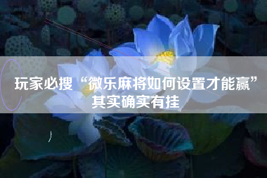 玩家必搜“微乐麻将如何设置才能赢”其实确实有挂