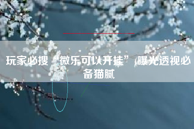 玩家必搜“微乐可以开挂”(曝光透视必备猫腻