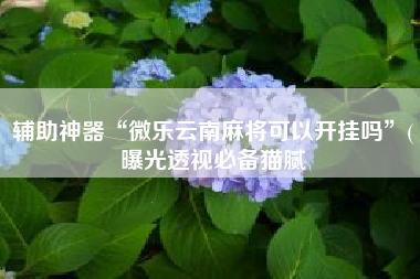 辅助神器“微乐云南麻将可以开挂吗	”(曝光透视必备猫腻