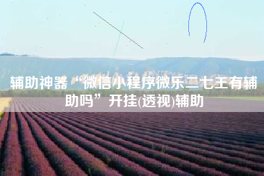 辅助神器“微信小程序微乐二七王有辅助吗”开挂(透视)辅助