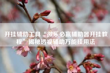 开挂辅助工具“微乐必赢辅助器开挂教程	”揭秘透视辅助万能挂用法