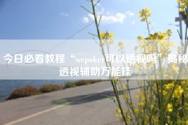 今日必看教程“wepoker可以透视吗”揭秘透视辅助万能挂