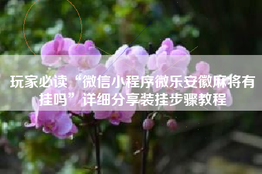 玩家必读“微信小程序微乐安徽麻将有挂吗”详细分享装挂步骤教程