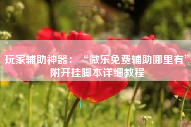 玩家辅助神器：“微乐免费辅助哪里有”附开挂脚本详细教程