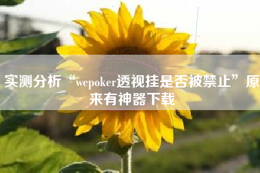 实测分析“wepoker透视挂是否被禁止”原来有神器下载
