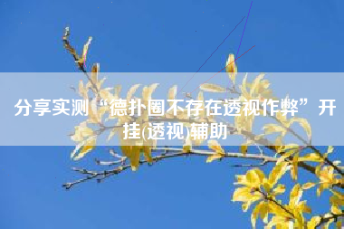 分享实测“德扑圈不存在透视作弊	”开挂(透视)辅助