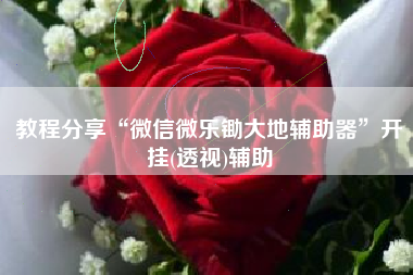 教程分享“微信微乐锄大地辅助器”开挂(透视)辅助