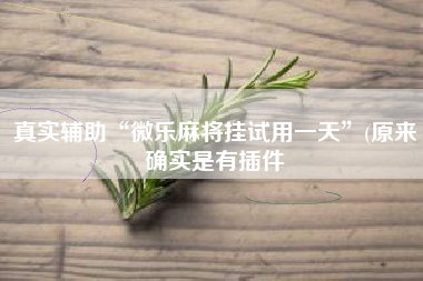真实辅助“微乐麻将挂试用一天”(原来确实是有插件