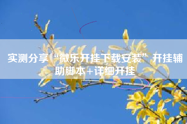 实测分享“微乐开挂下载安装”开挂辅助脚本+详细开挂