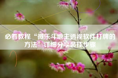 必看教程“微乐斗地主透视软件打牌的方法”详细分享装挂步骤