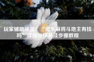 玩家辅助神器：“微乐麻将斗地主有挂吗	”详细分享装挂步骤教程