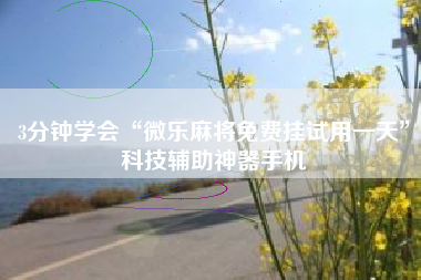 3分钟学会“微乐麻将免费挂试用一天”科技辅助神器手机