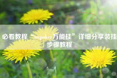 必看教程“wepoker万能挂”详细分享装挂步骤教程