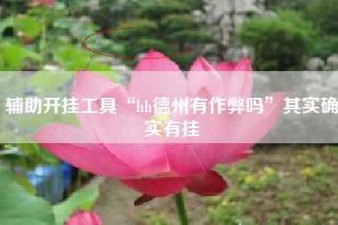 辅助开挂工具“hh德州有作弊吗”其实确实有挂