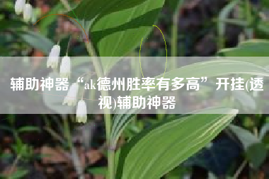 辅助神器“ak德州胜率有多高”开挂(透视)辅助神器