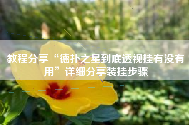 教程分享“德扑之星到底透视挂有没有用”详细分享装挂步骤