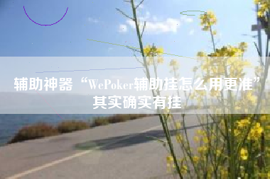 辅助神器“WePoker辅助挂怎么用更准”其实确实有挂