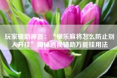 玩家辅助神器：“微乐麻将怎么防止别人开挂	”揭秘透视辅助万能挂用法