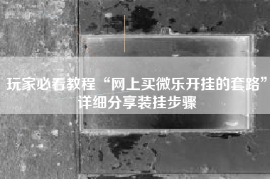 玩家必看教程“网上买微乐开挂的套路”详细分享装挂步骤
