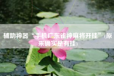 辅助神器“手机广东雀神麻将开挂”(原来确实是有挂)