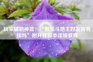 玩家辅助神器：“微乐斗地主好友房有挂吗	”附开挂脚本详细教程