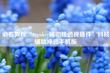必看教程“agpoker辅助挂透视插件”科技辅助神器手机版