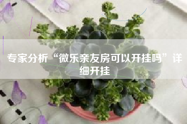 专家分析“微乐亲友房可以开挂吗	”详细开挂