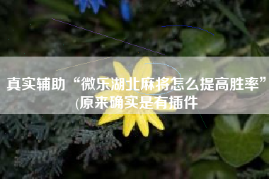 真实辅助“微乐湖北麻将怎么提高胜率”(原来确实是有插件