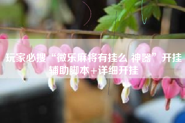 玩家必搜“微乐麻将有挂么 神器”开挂辅助脚本+详细开挂