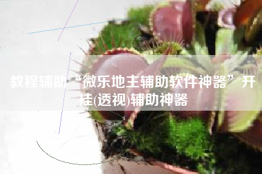 教程辅助“微乐地主辅助软件神器”开挂(透视)辅助神器