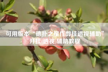 可用版本“德扑之星作弊挂透视辅助”开挂(透视)辅助教程