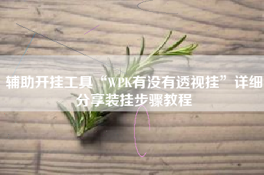 辅助开挂工具“WPK有没有透视挂”详细分享装挂步骤教程