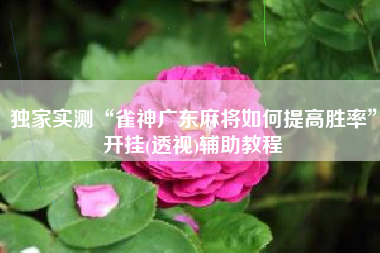 独家实测“雀神广东麻将如何提高胜率	”开挂(透视)辅助教程