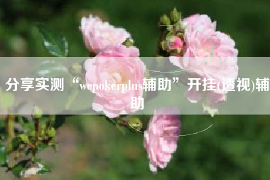 分享实测“wepokerplus辅助	”开挂(透视)辅助