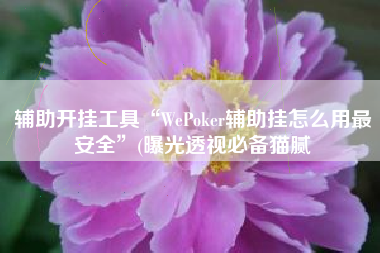 辅助开挂工具“WePoker辅助挂怎么用最安全	”(曝光透视必备猫腻