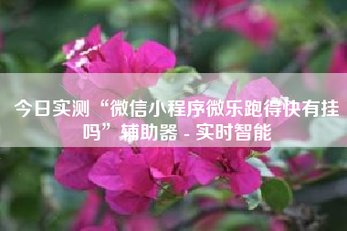 今日实测“微信小程序微乐跑得快有挂吗”辅助器 - 实时智能