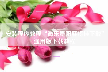 安装程序教程“微乐贵阳麻将挂下载”通用版下载教程