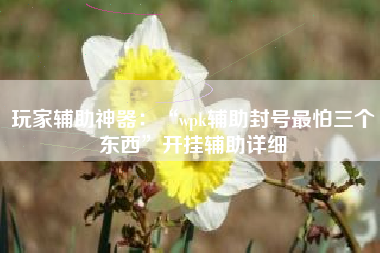 玩家辅助神器：“wpk辅助封号最怕三个东西”开挂辅助详细