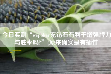 今日实测“wepoker充钻石有利于增强牌力与胜率吗?	”(原来确实是有插件