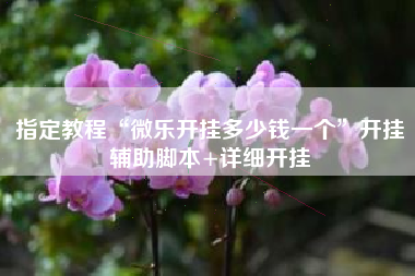 指定教程“微乐开挂多少钱一个”开挂辅助脚本+详细开挂
