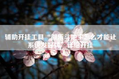 辅助开挂工具“微乐斗地主怎么才能让系统发好牌	”详细开挂